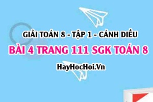 Giải bài 4 trang 111 Toán 8 Tập 1 SGK Cánh Diều